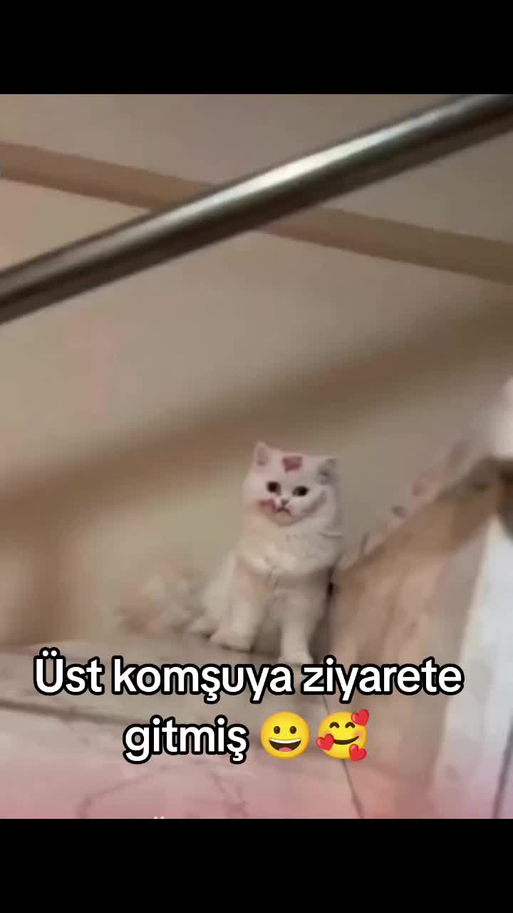 @Kader