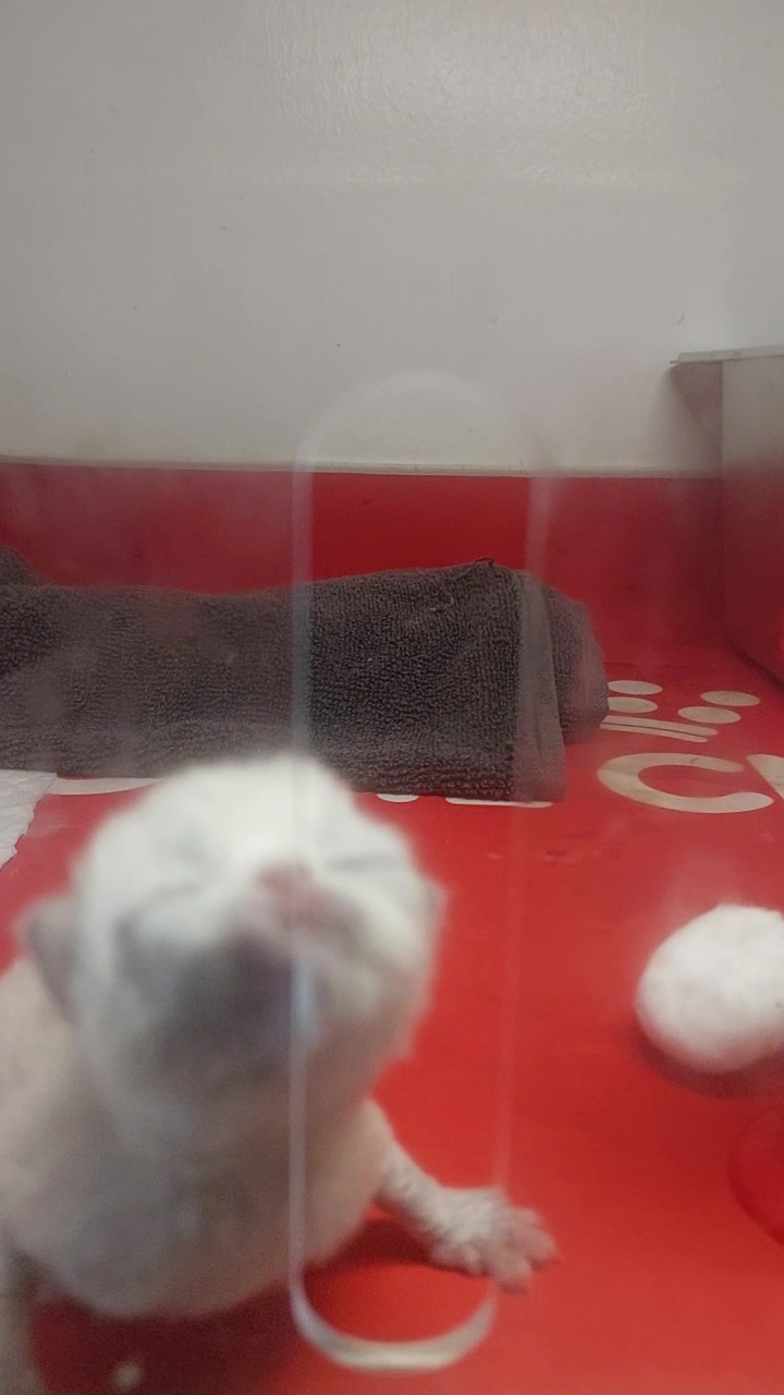 @Maracats Pet Supplies