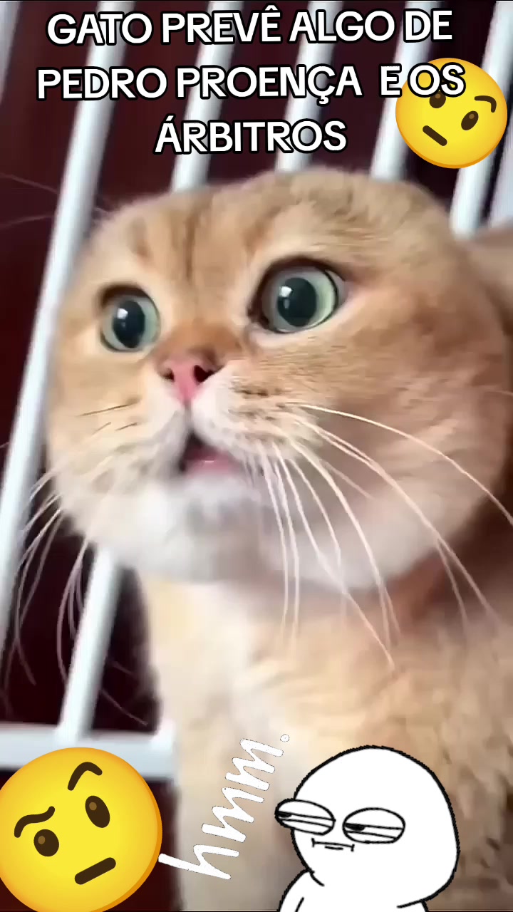 @PedroD
