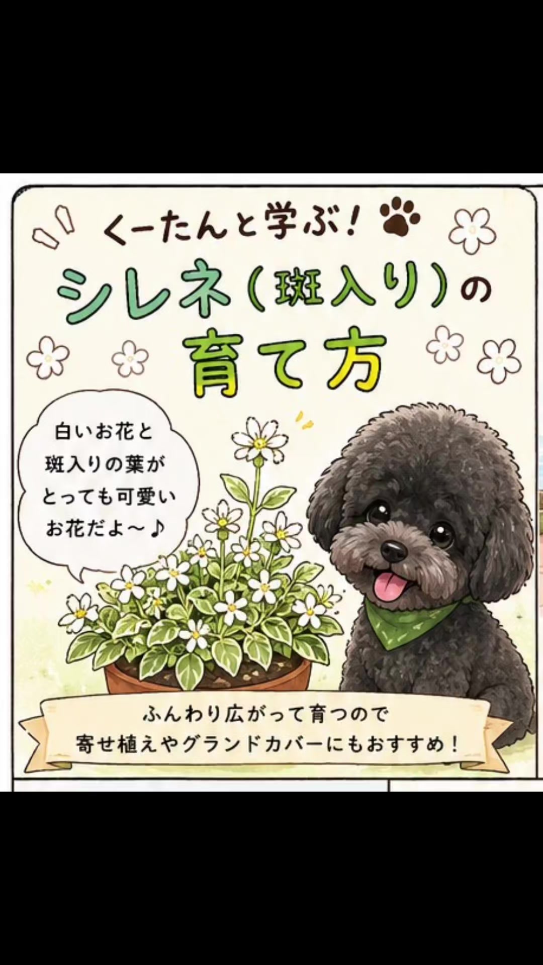 @ritsu🐶💚🐎