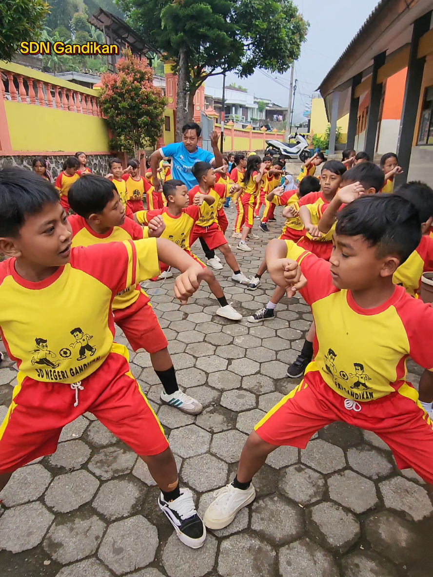 @sdngandikan