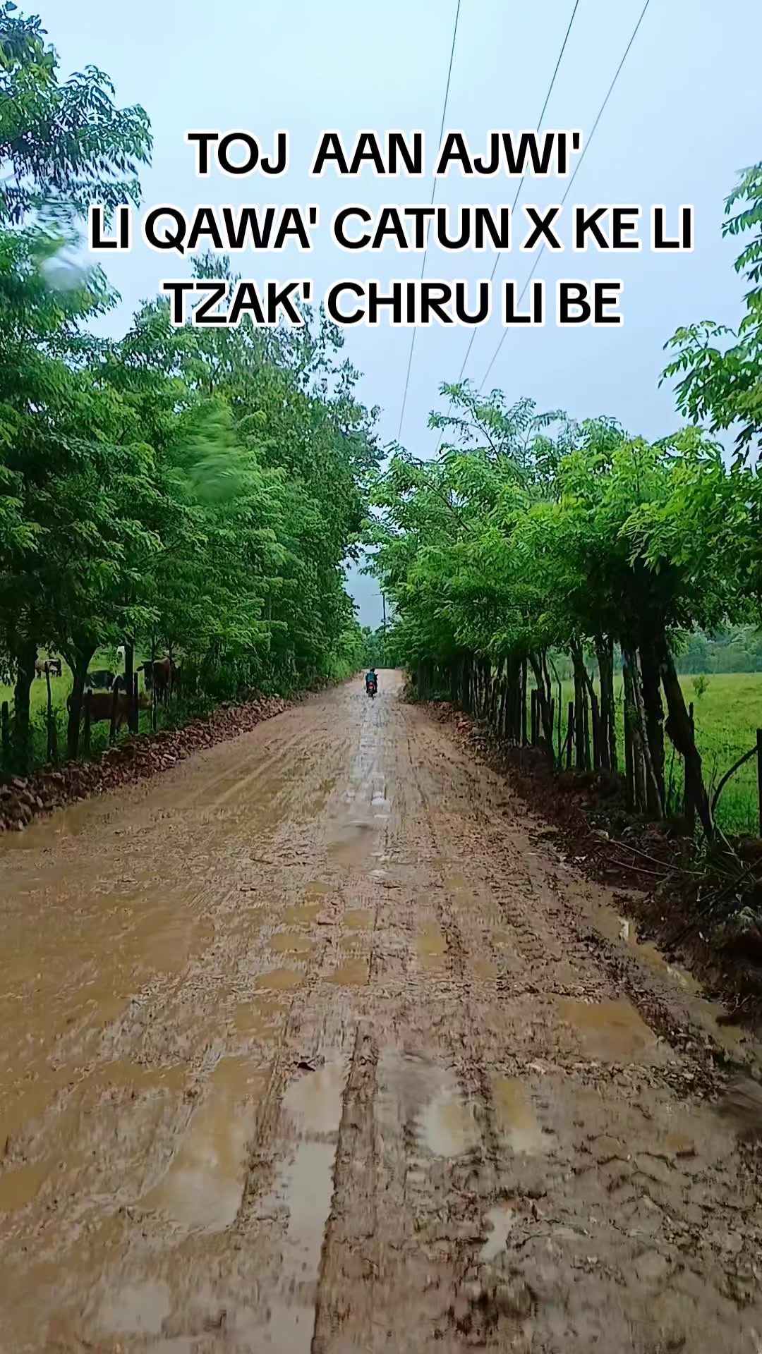 @Tu Contenido Favorito