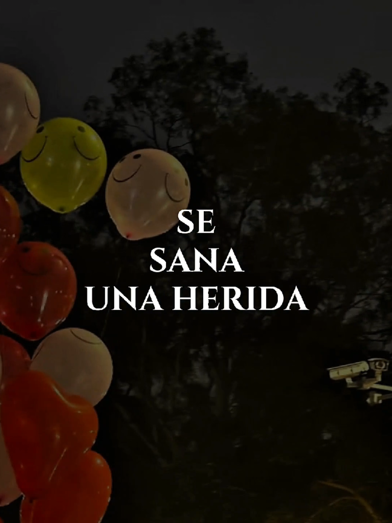@notas_mag1cas