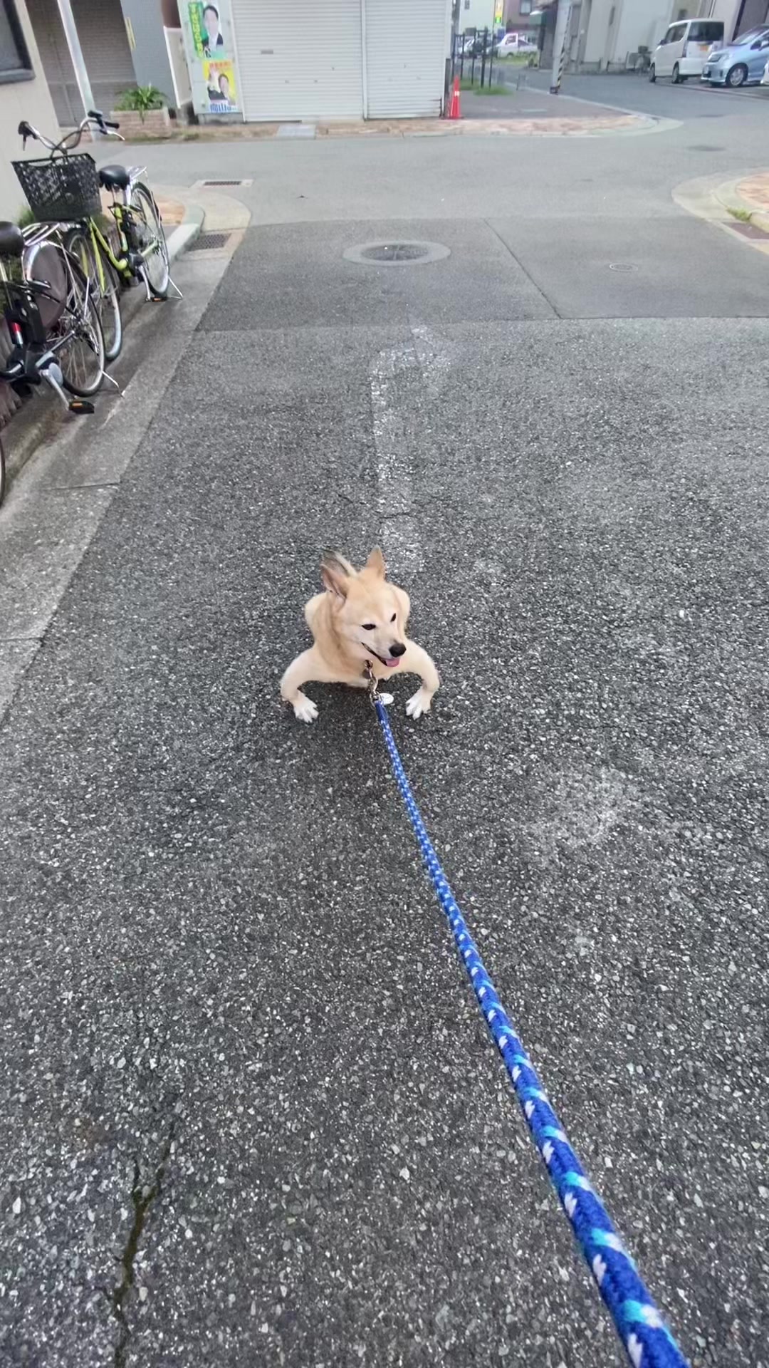 @てる
