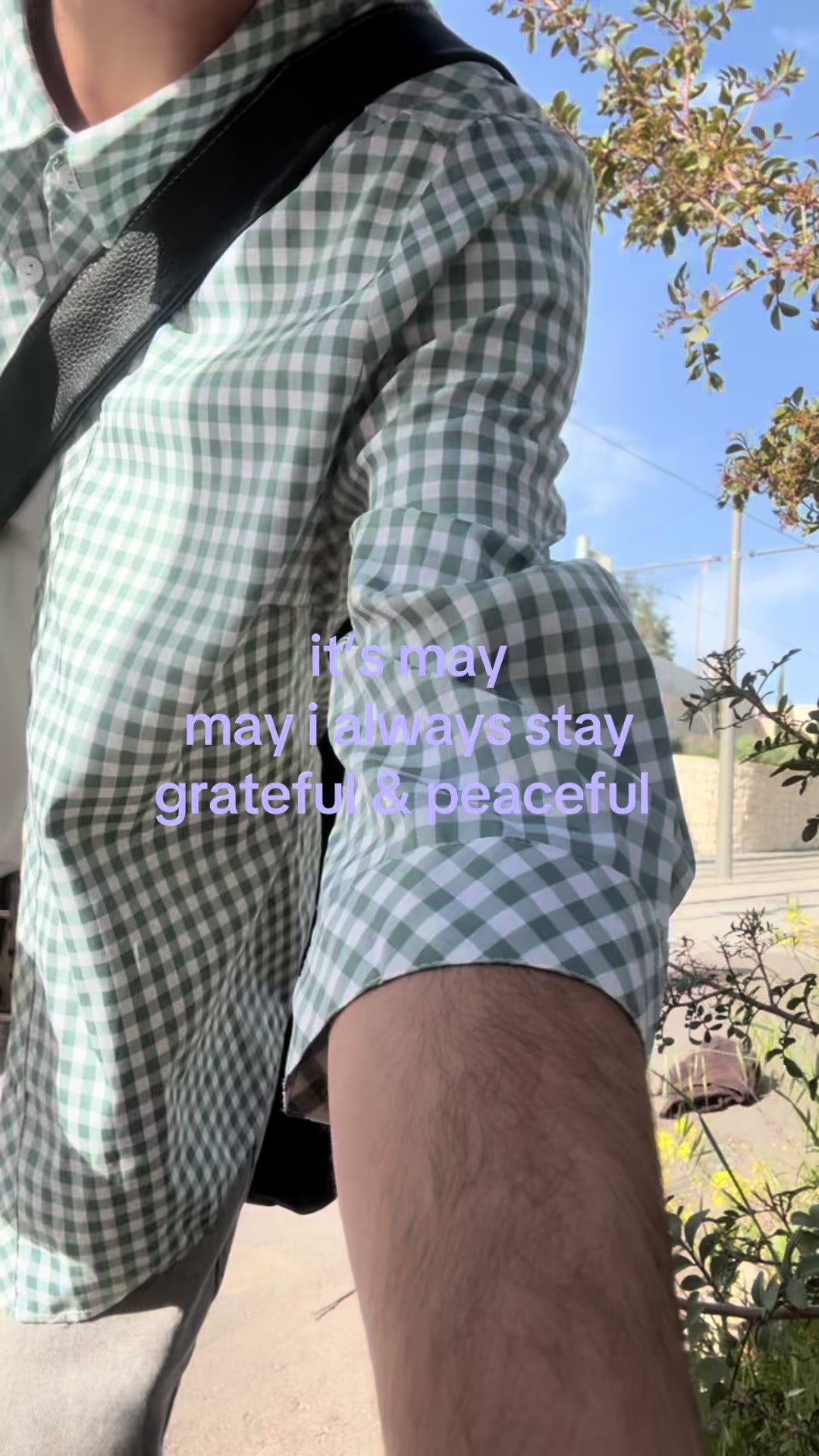 @++++++