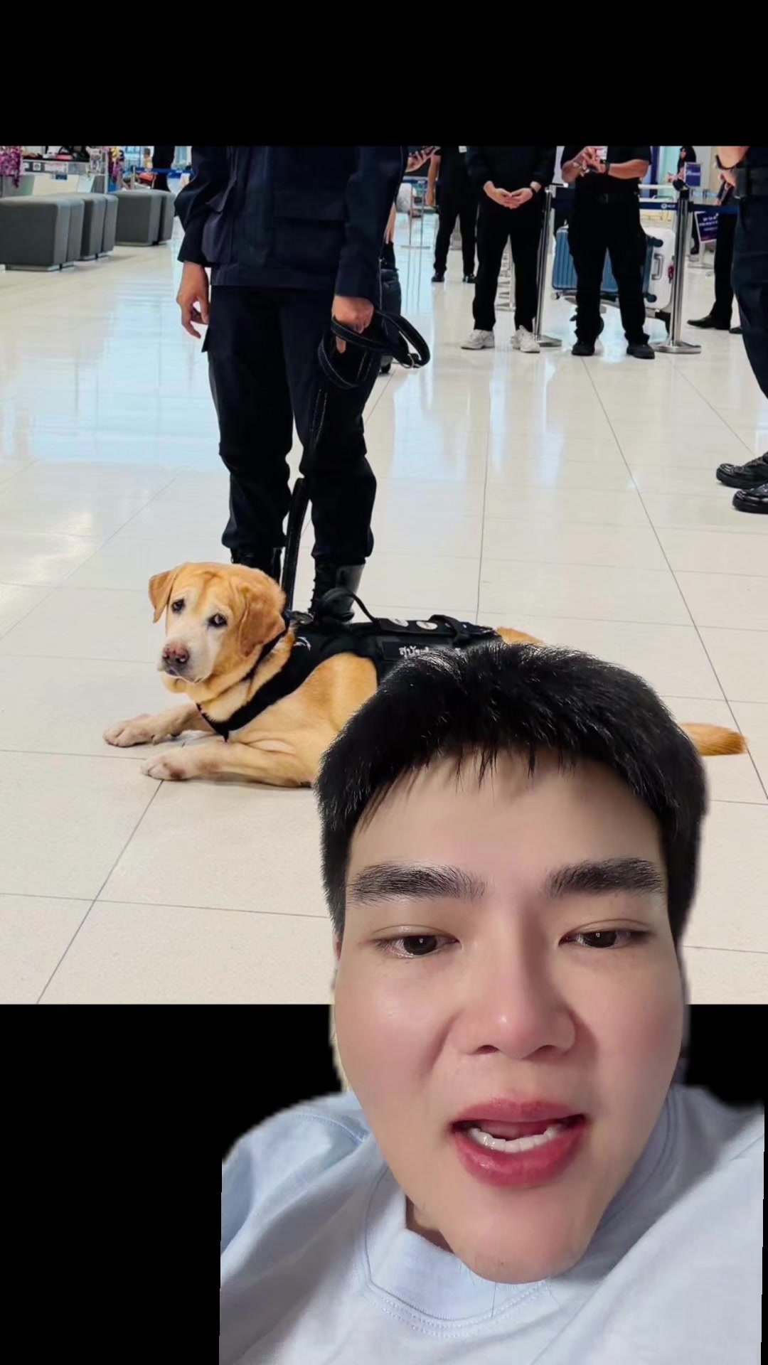@Spark Update