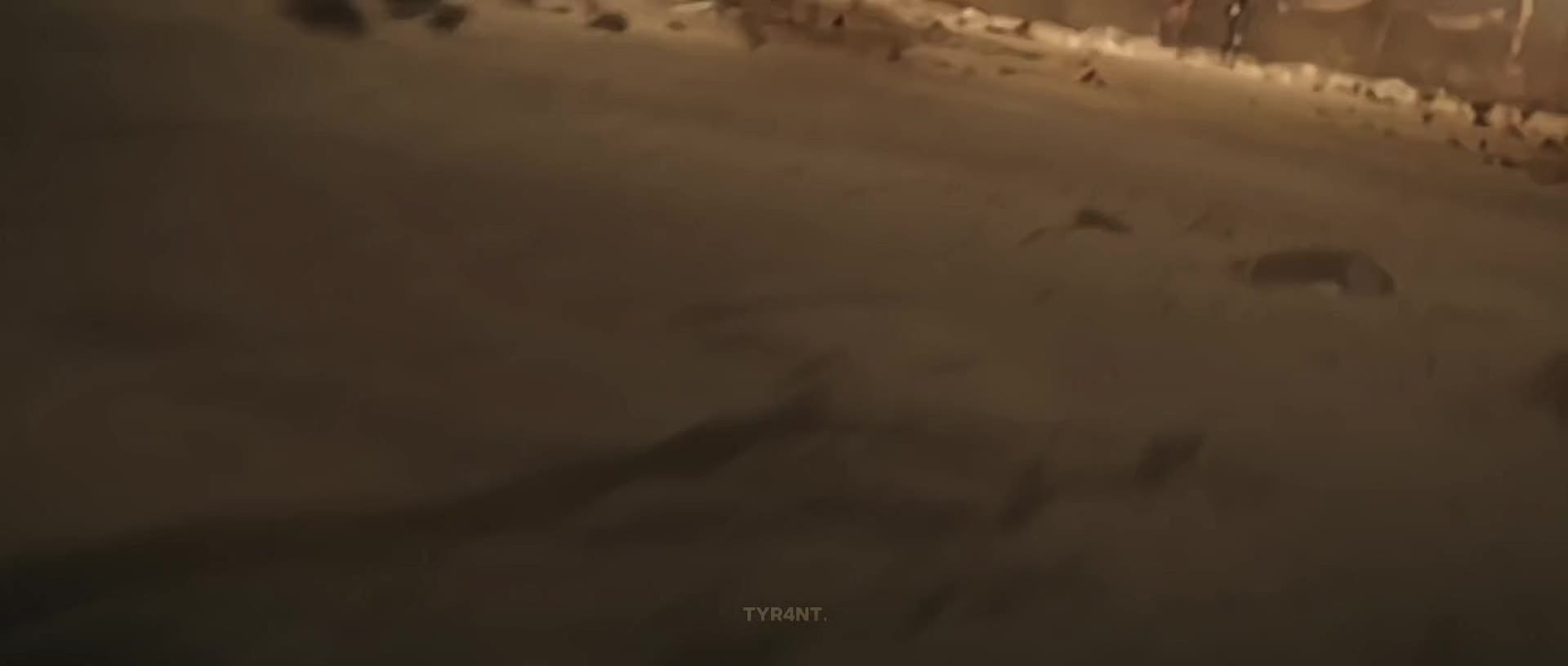 @Tyr4nt.