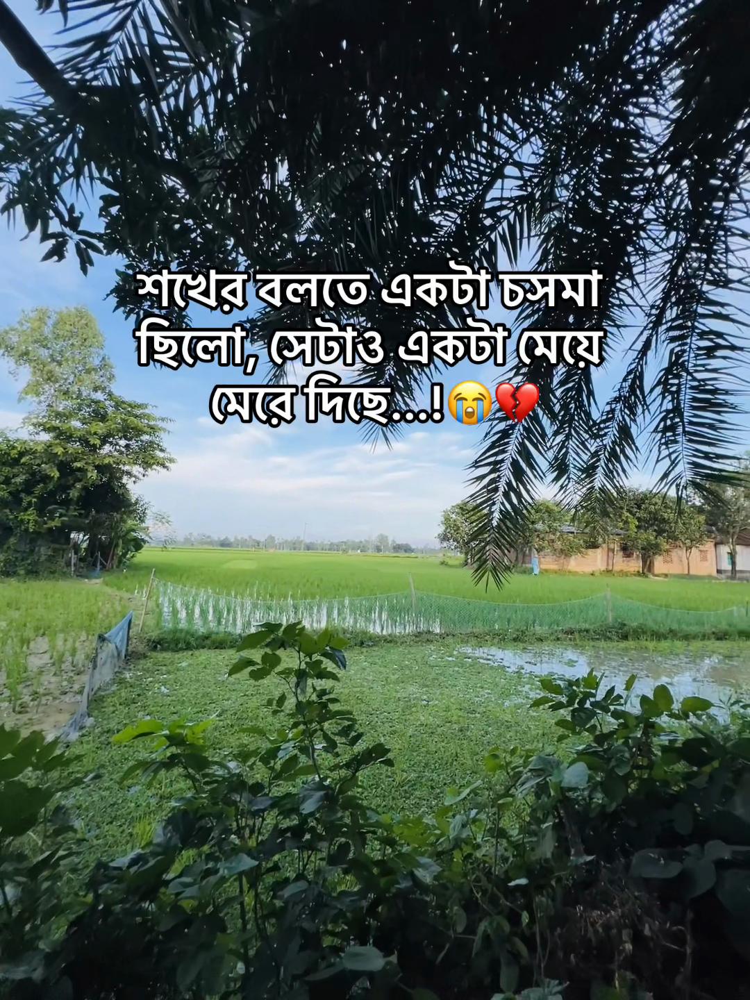 @BD_(ভন্ড)_ jihad🕊️