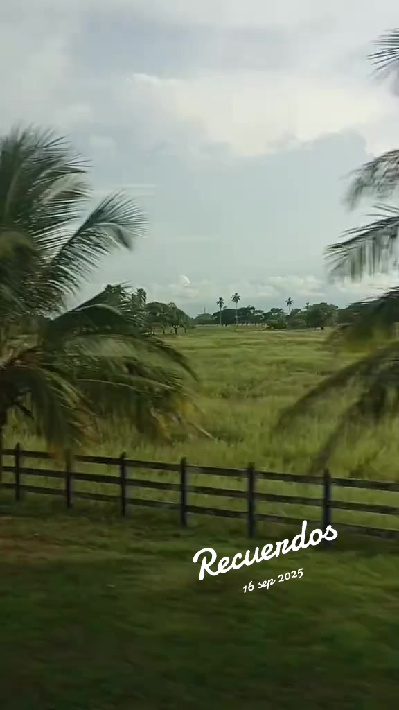 @Alejandra segundo
