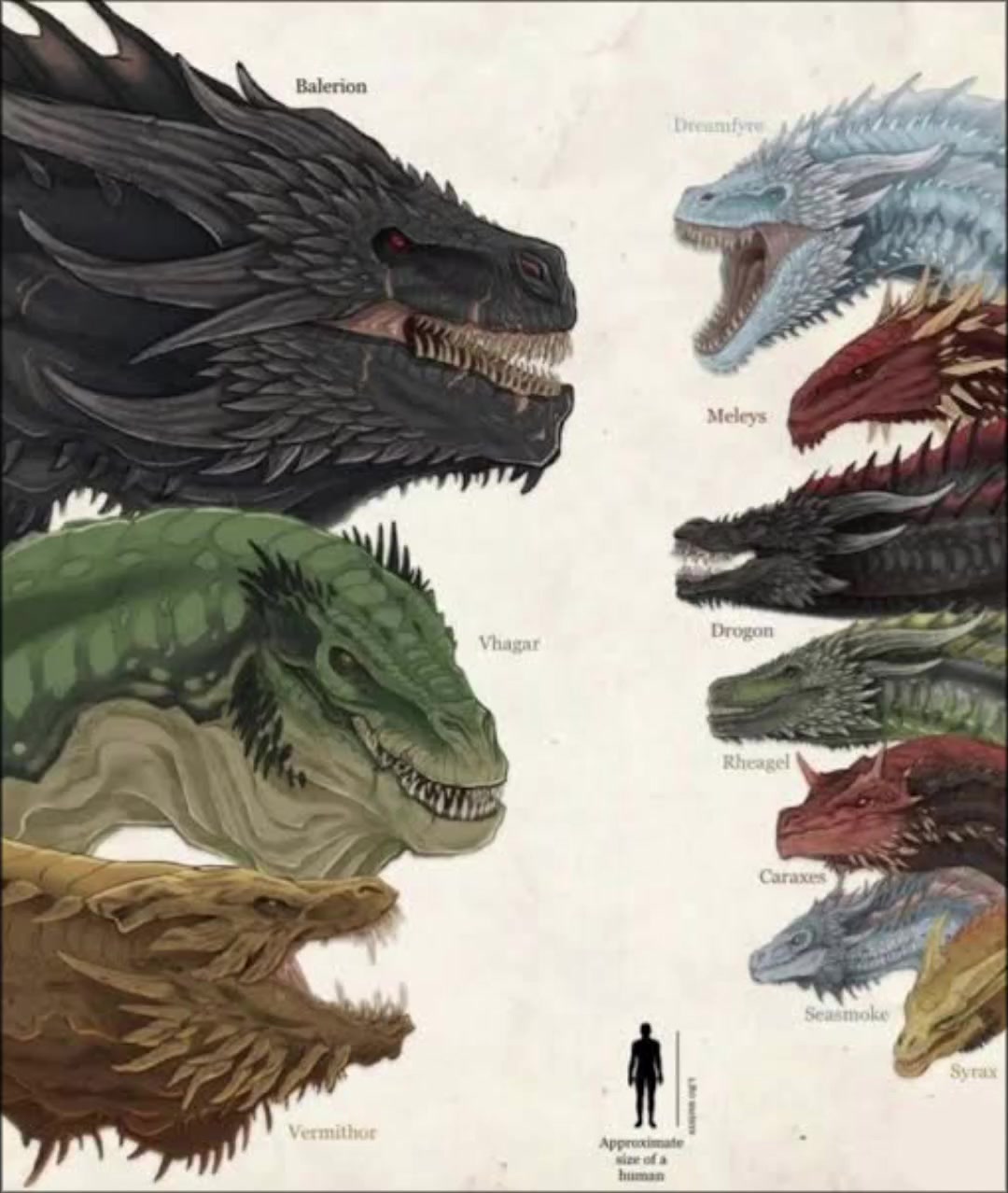 Balerion the Black Dread was not just a | Dracarys (@dracarys168)
