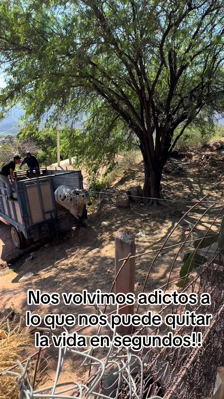 @Ana Bolaños