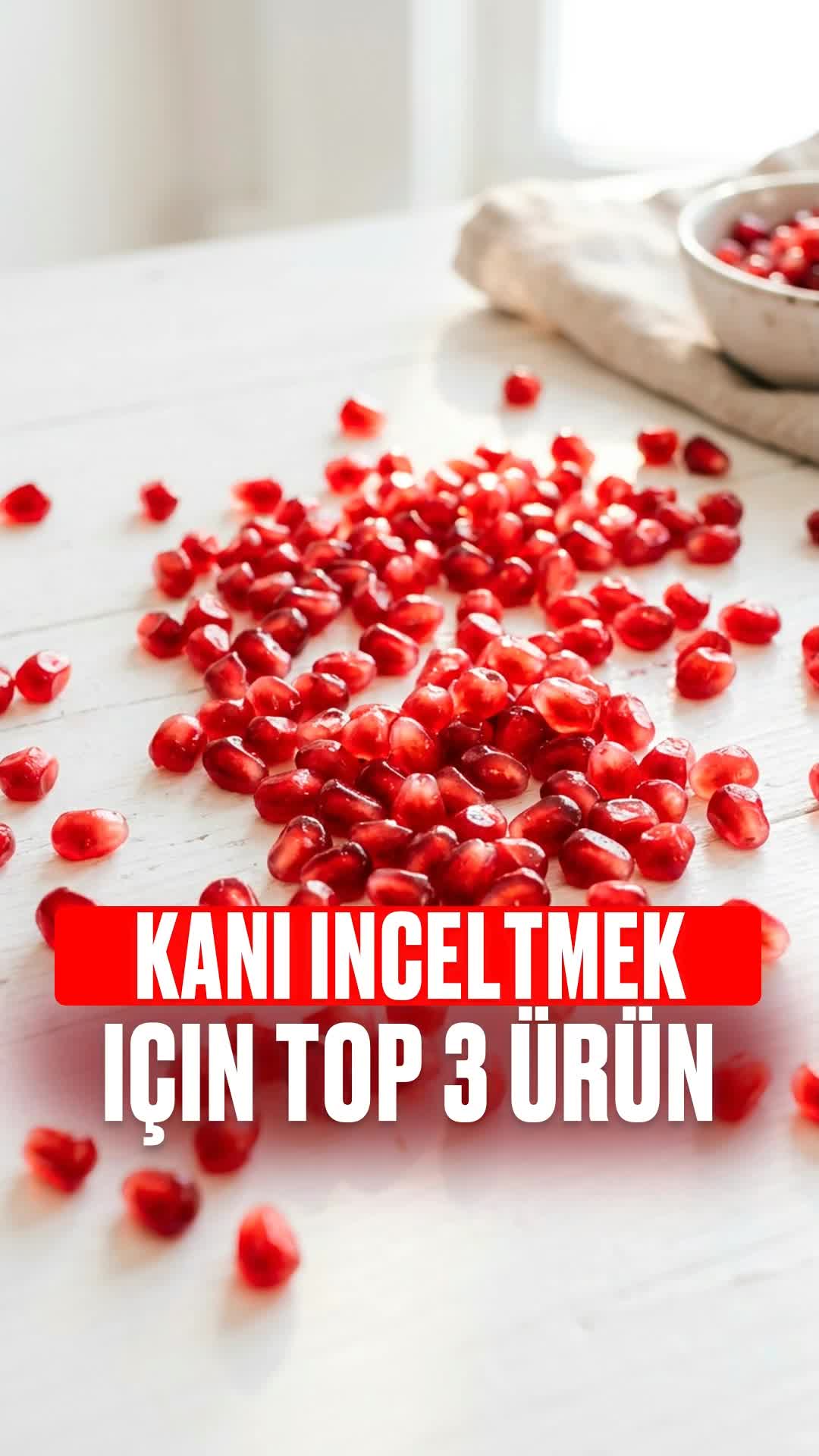 @Bolotov_Merkezi