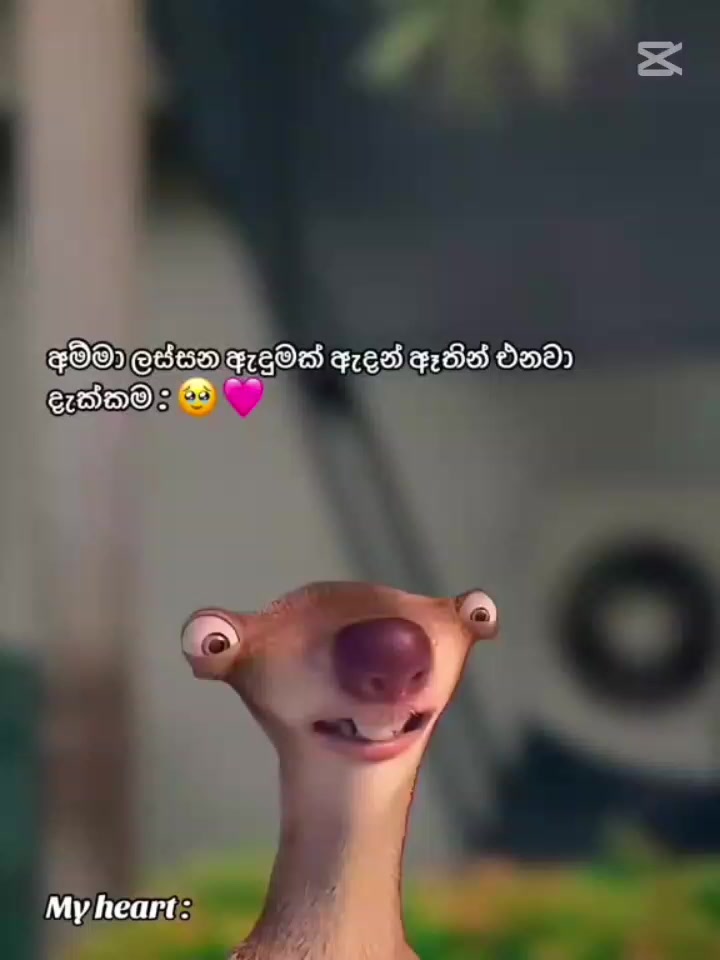 @Dinithi Anjana💞&hearts;️