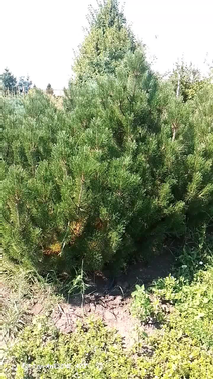 @Марина