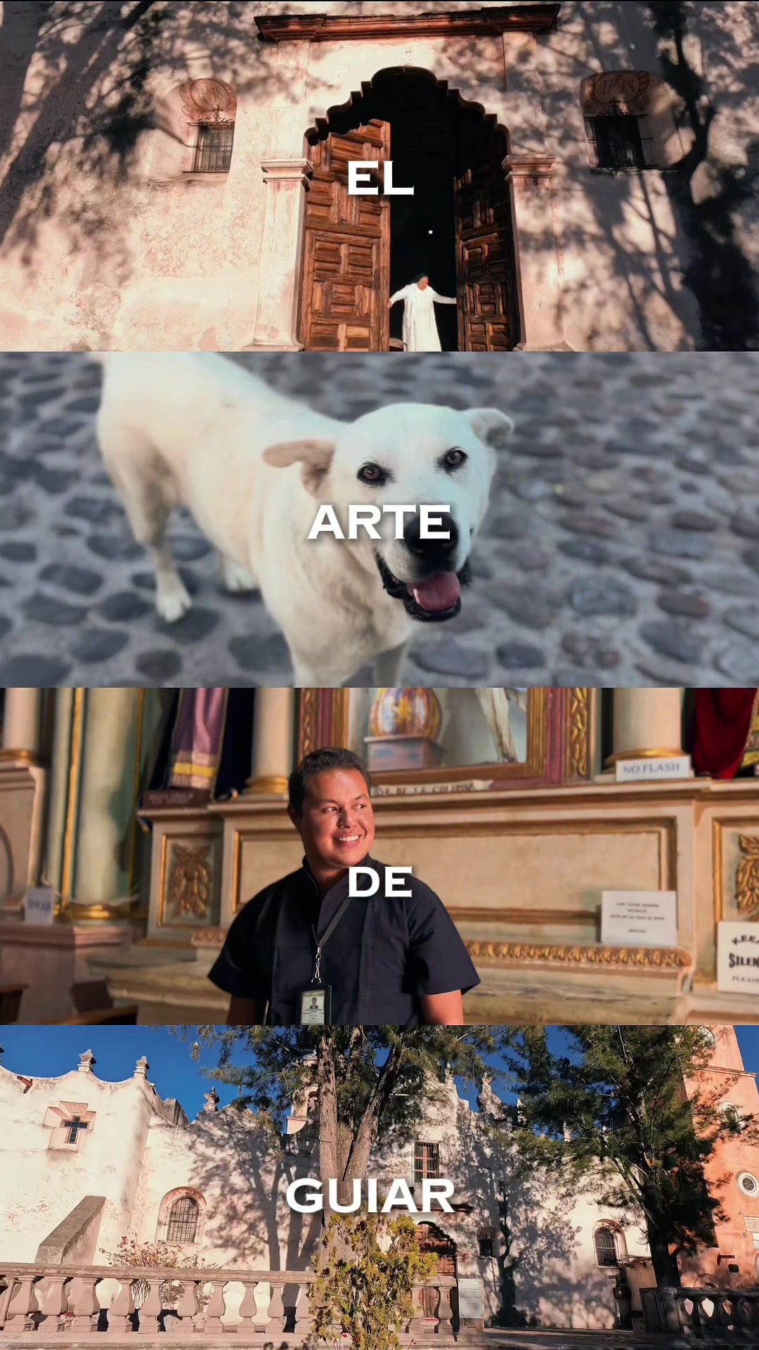 @Felipe Aceves SMA