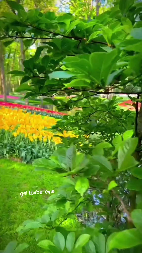 @Havvabilgin