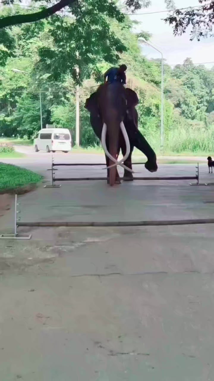 @นุ^-^ 🐹🐹💥🎧