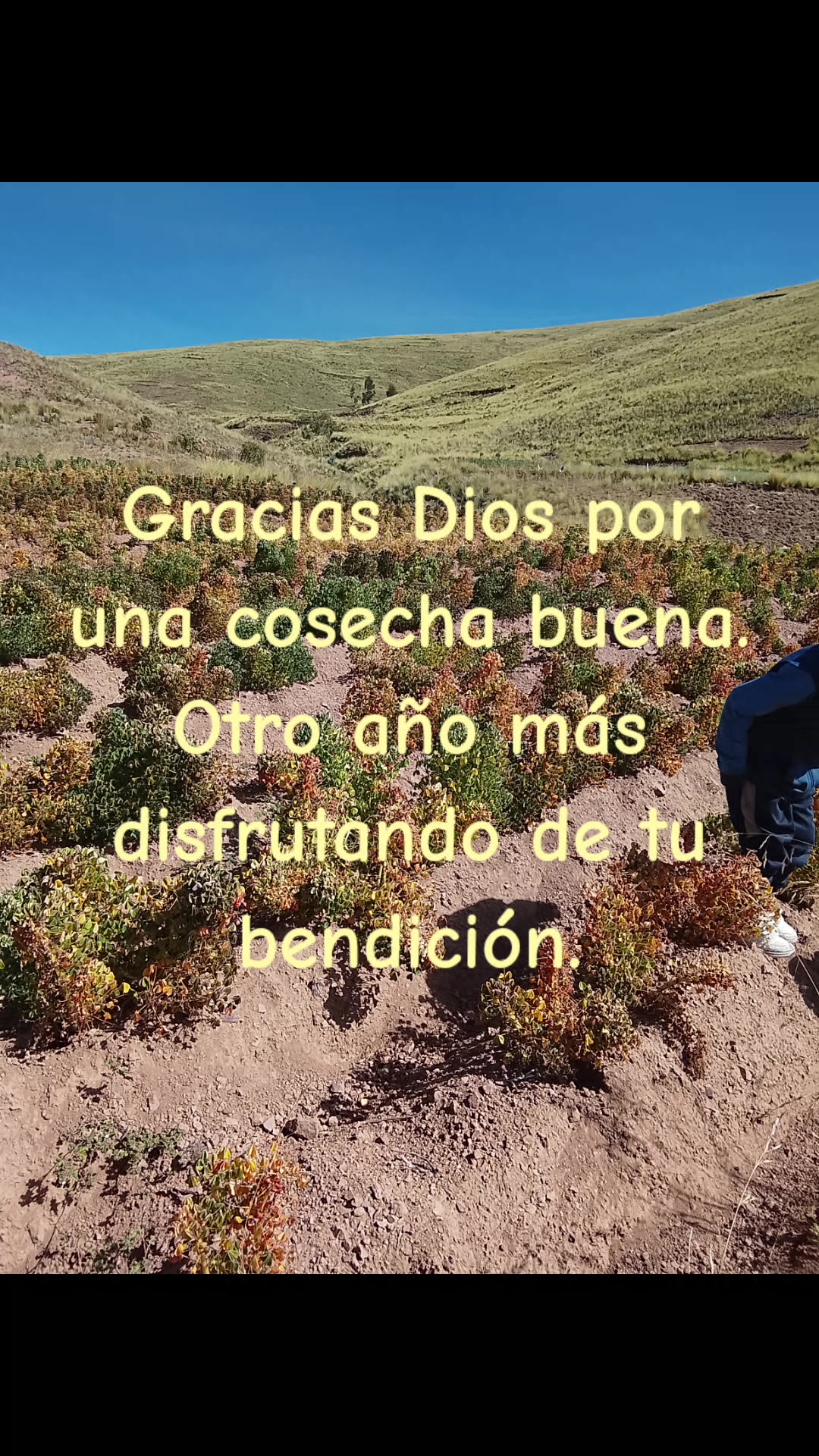 @dianaapaza057
