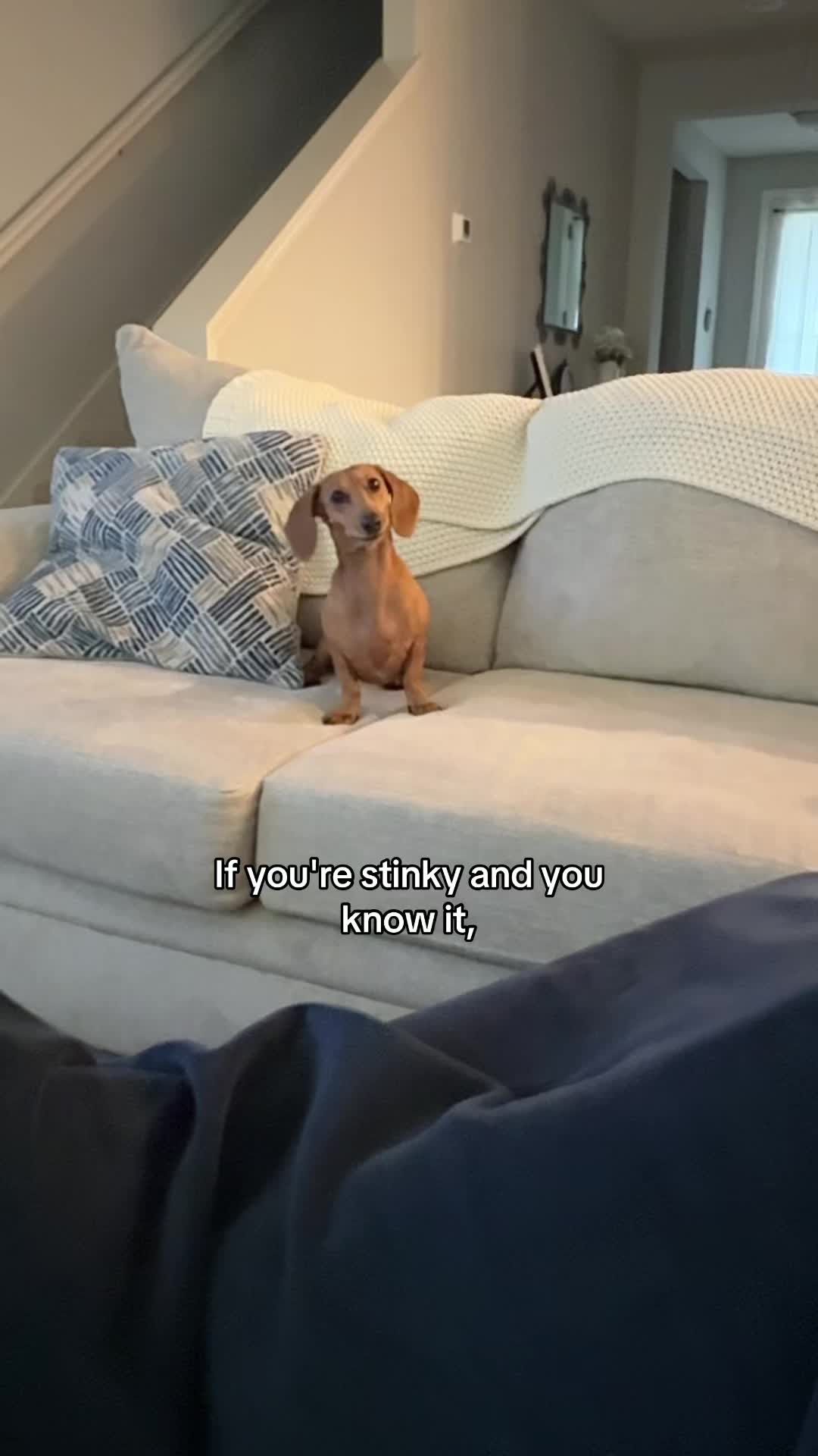 @Hazel & Heidi