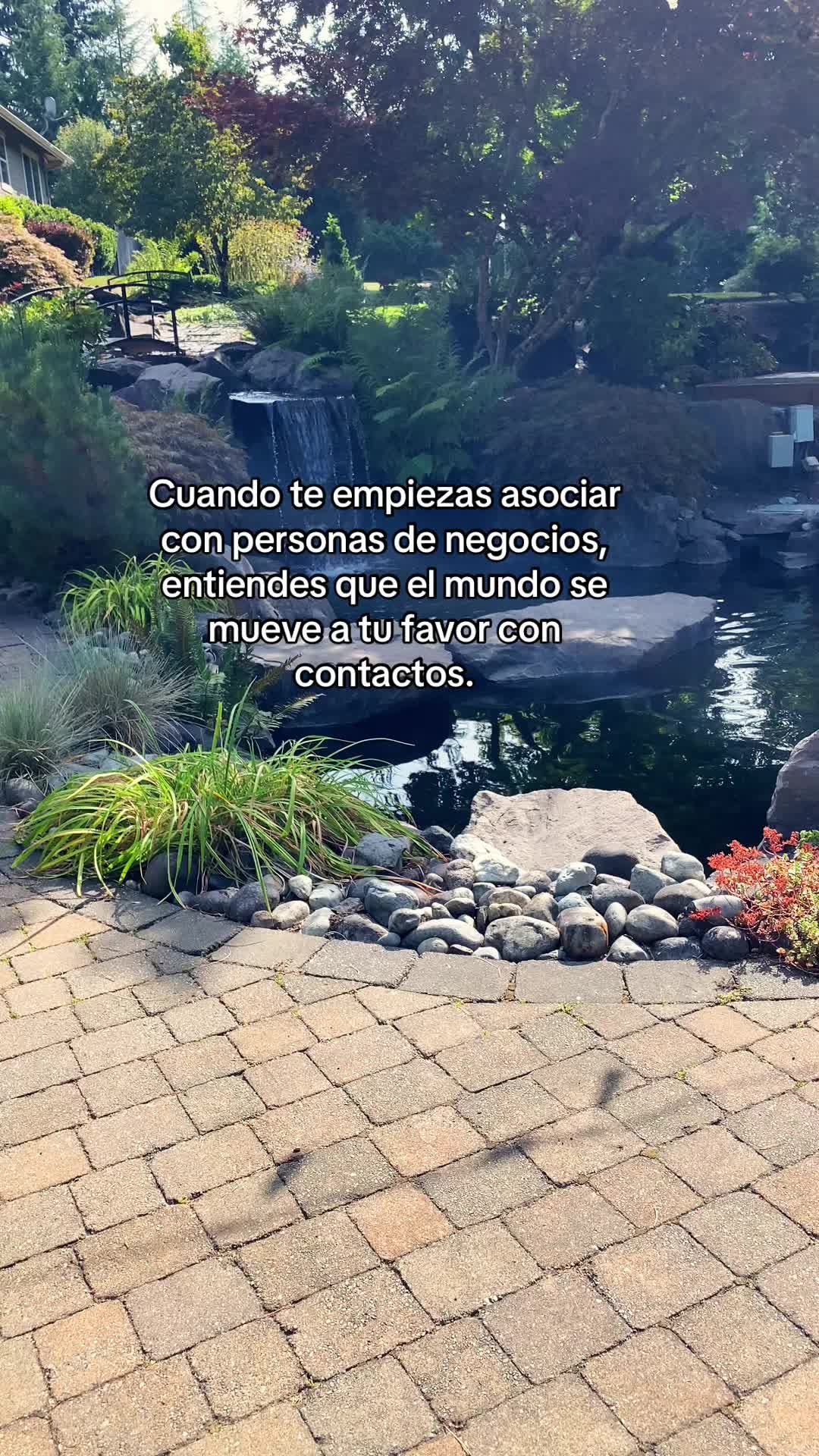 @luisgonzalez1502