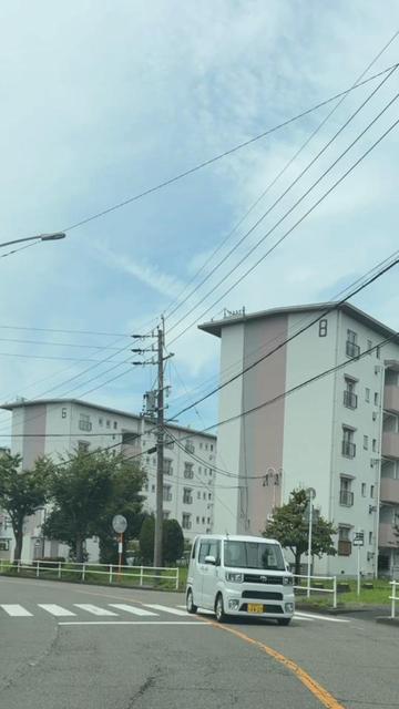 @達磨寅次郎