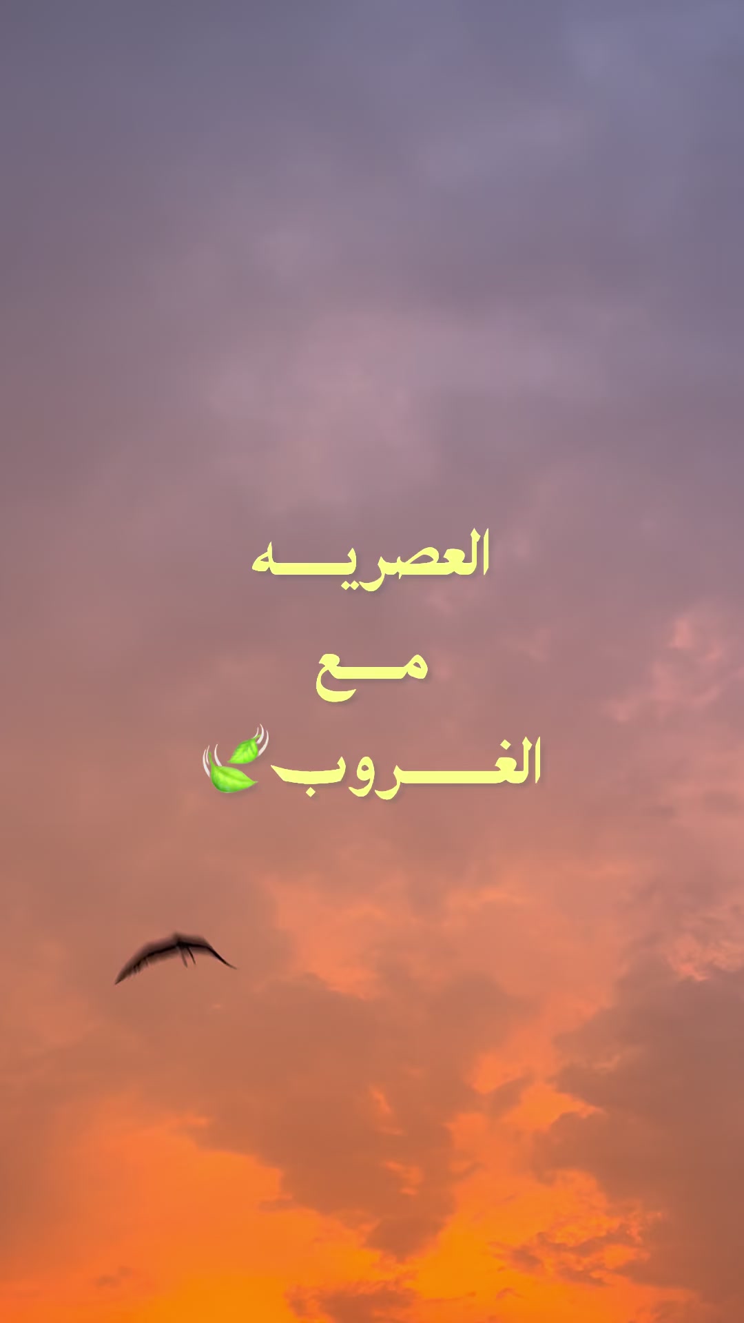 @أنسة نُ🌱