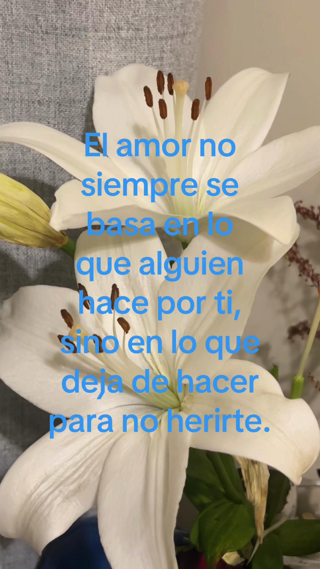 @Alis🌸🌸💓🎀