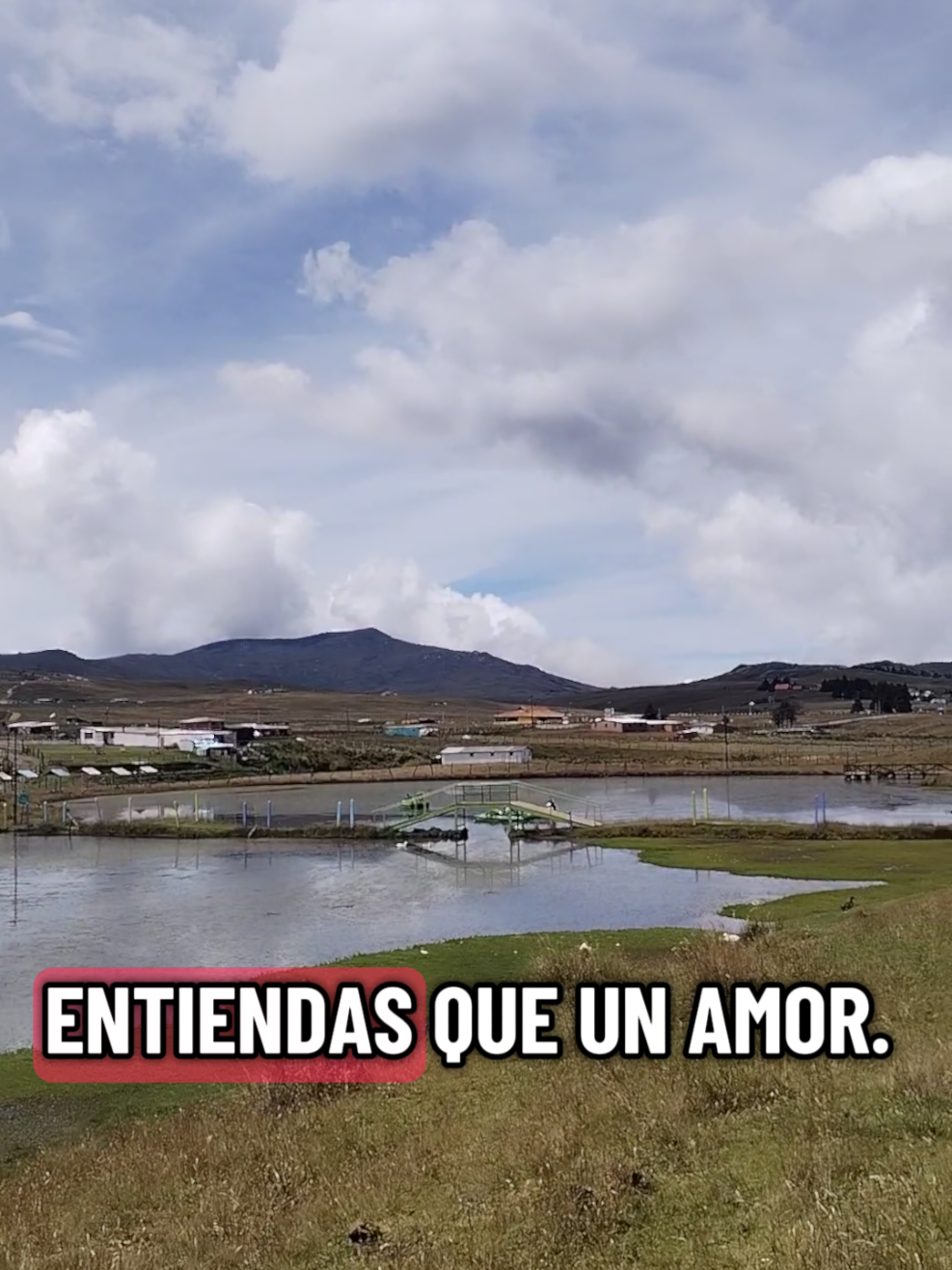 @Liliana Zabala Mendoza