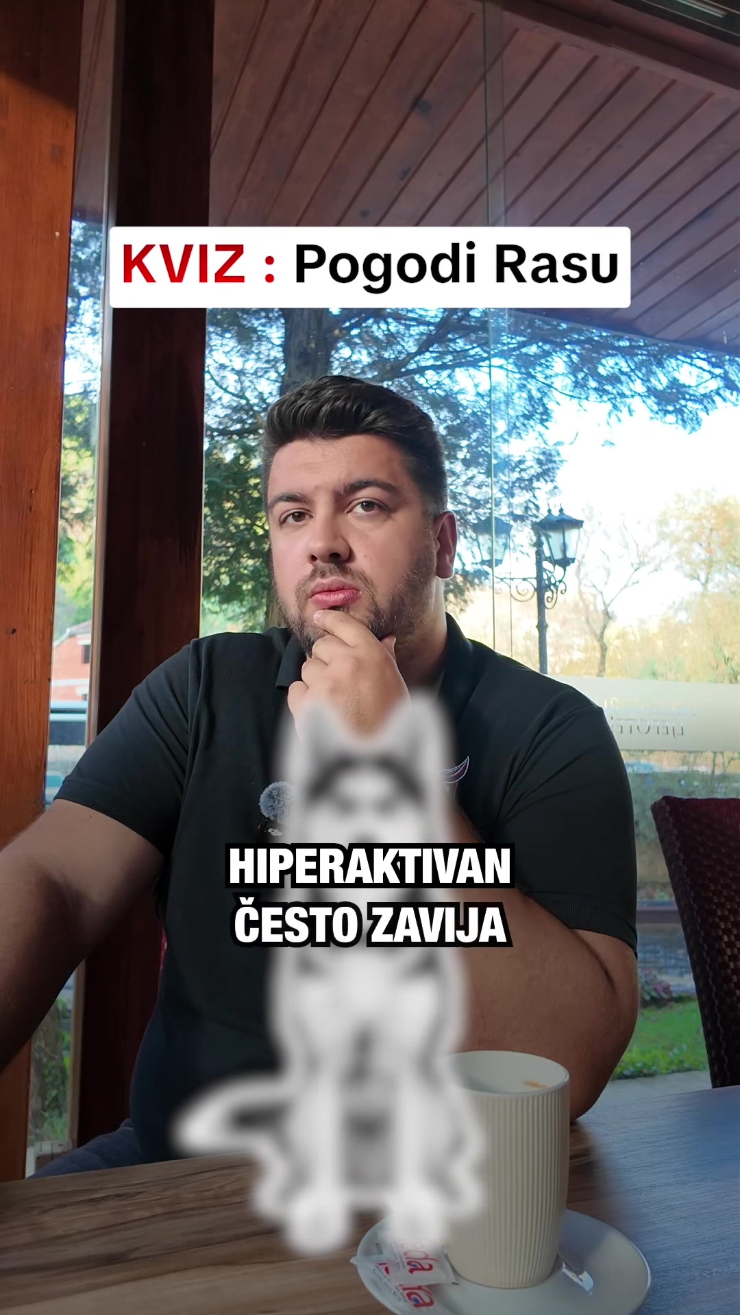 @superdog.akademija