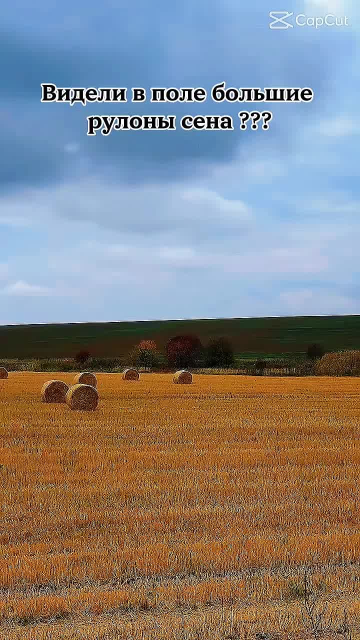 @👑Любимая Королева👑