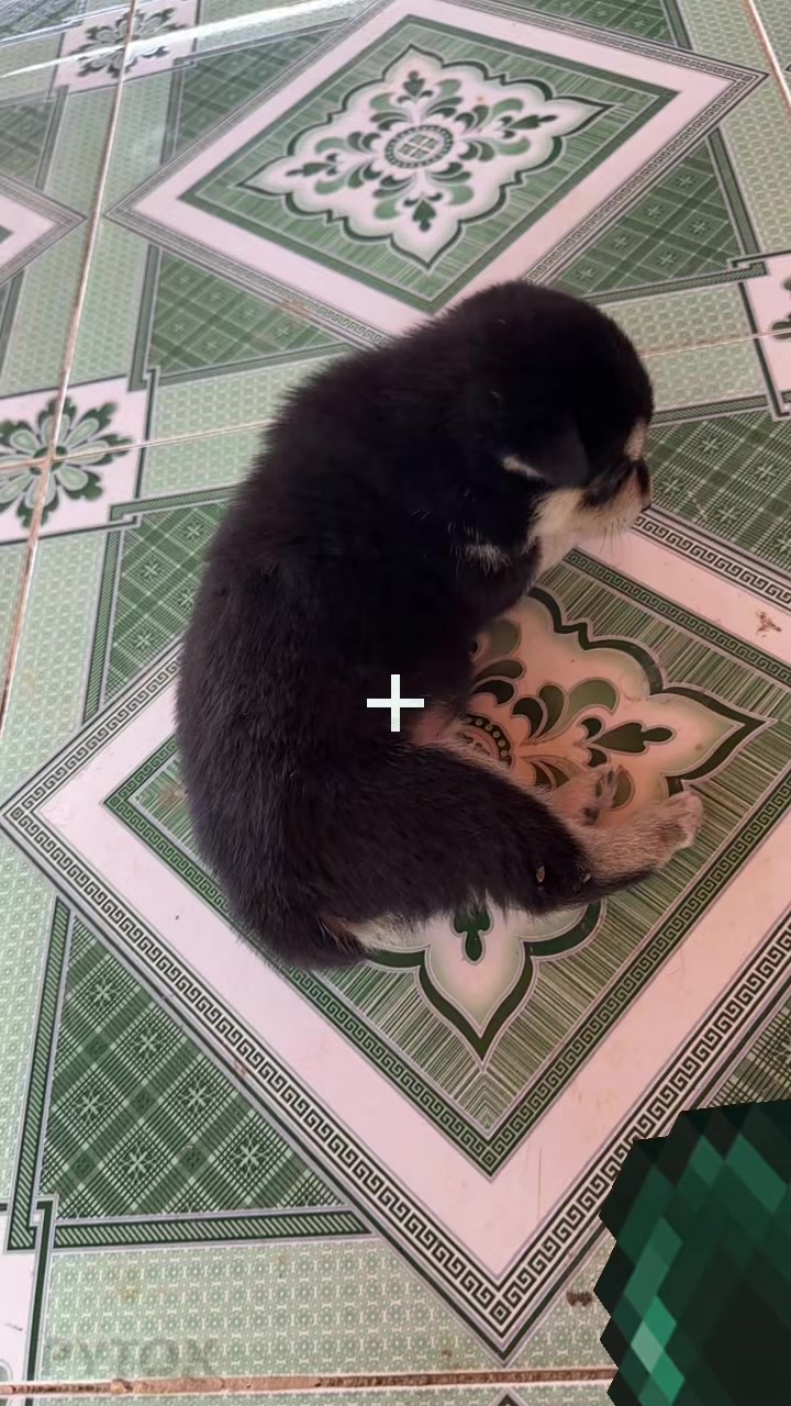 @Pet❤️🔥