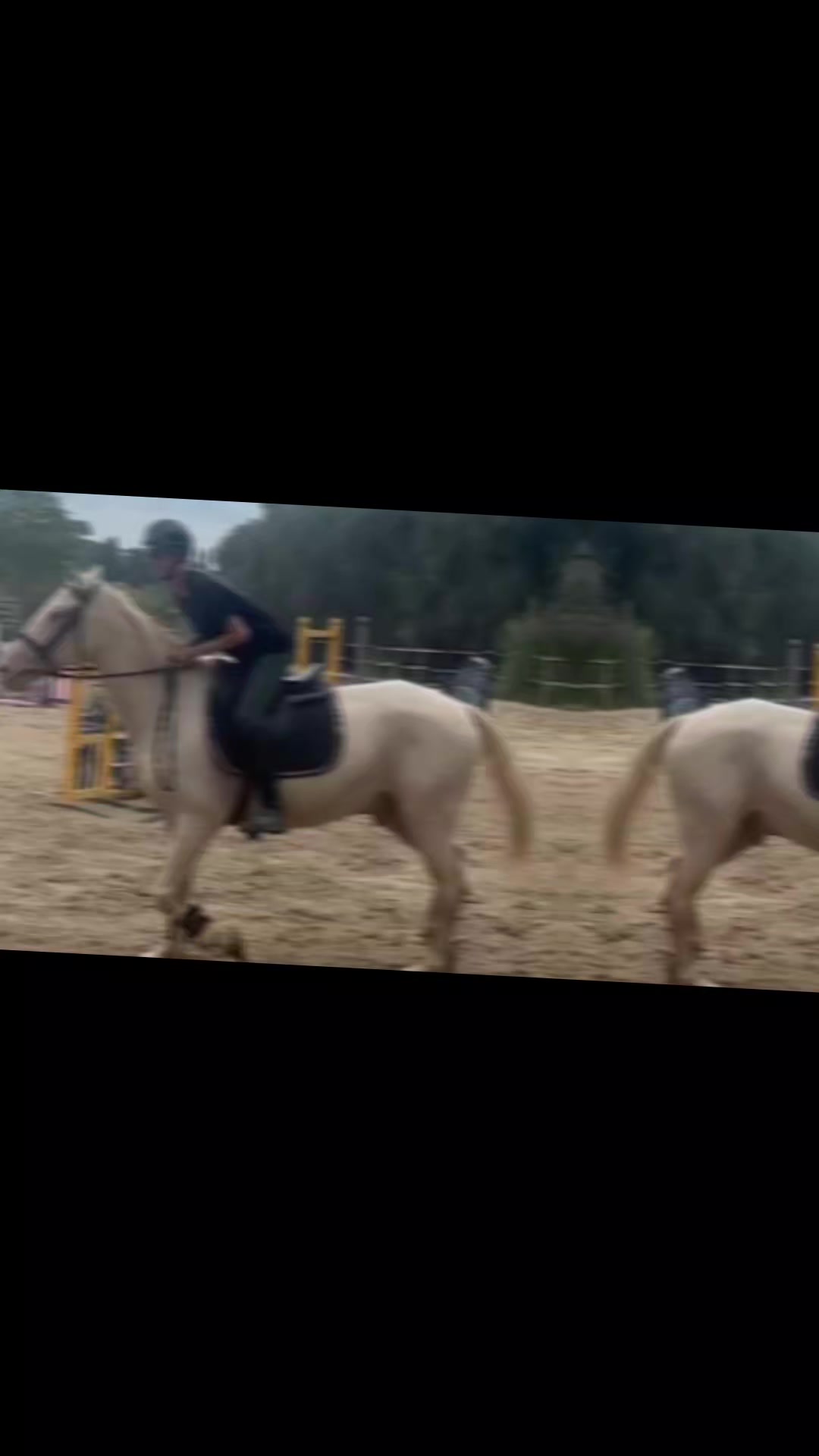 @haras de castille