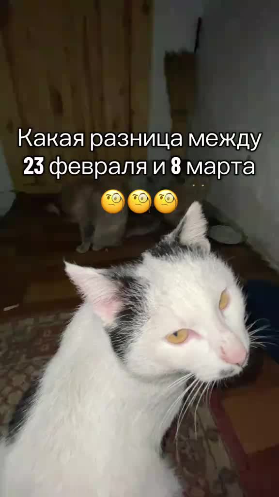@Кирилл из Харькова