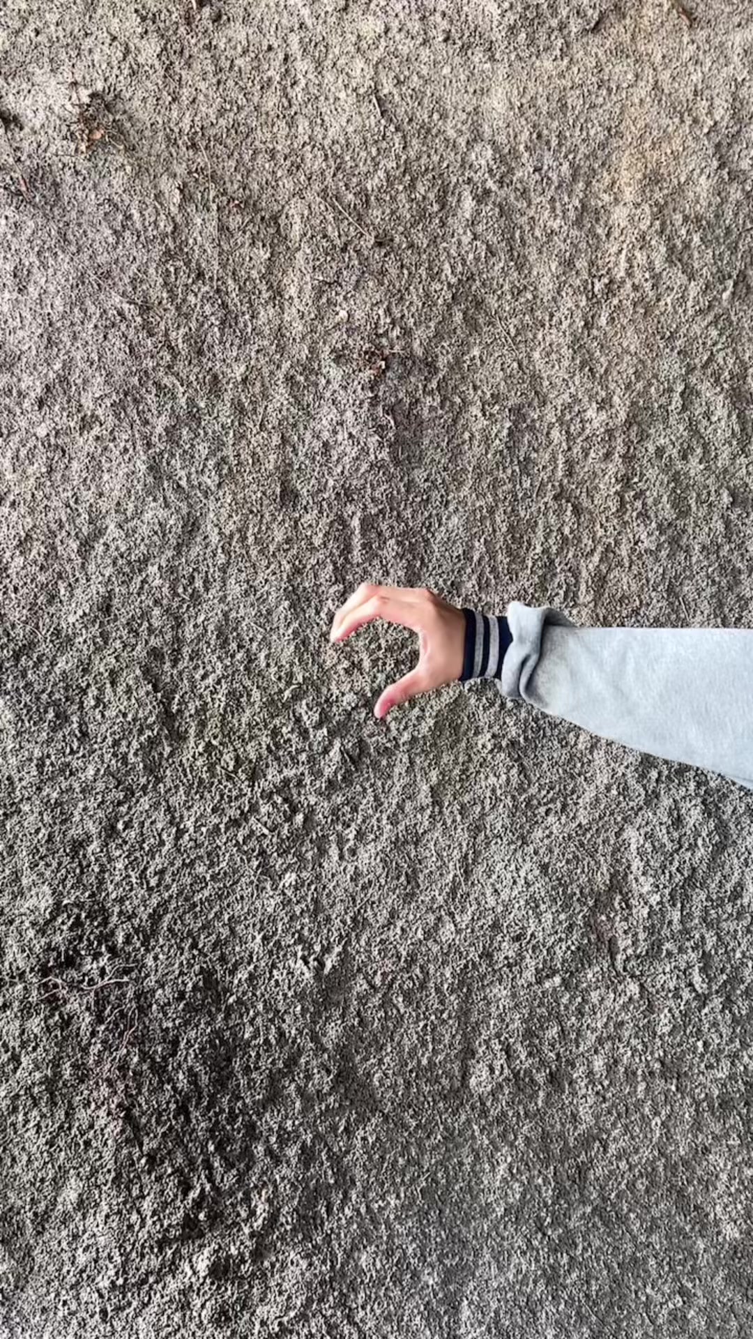 @kubokids