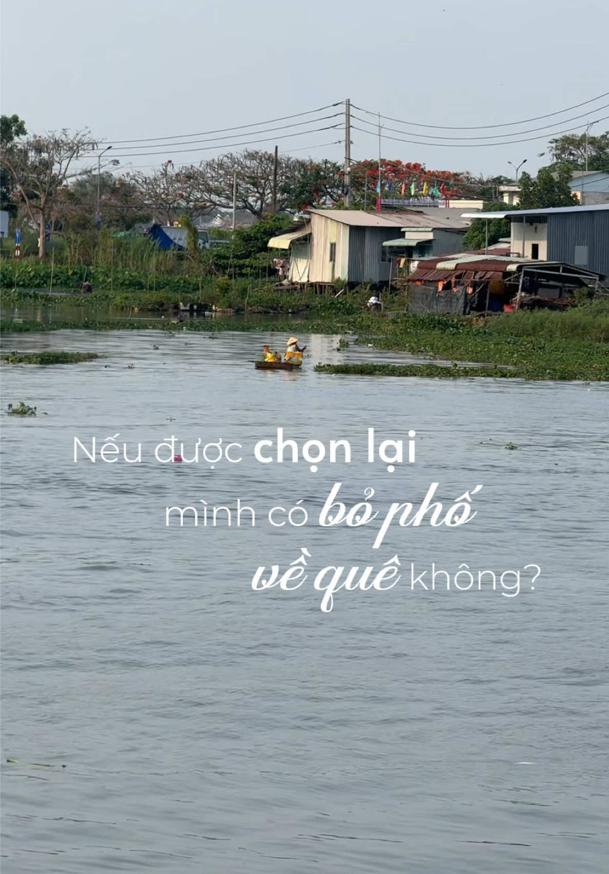 @Thuỳ Dương ở Đồng Th&aacute;p