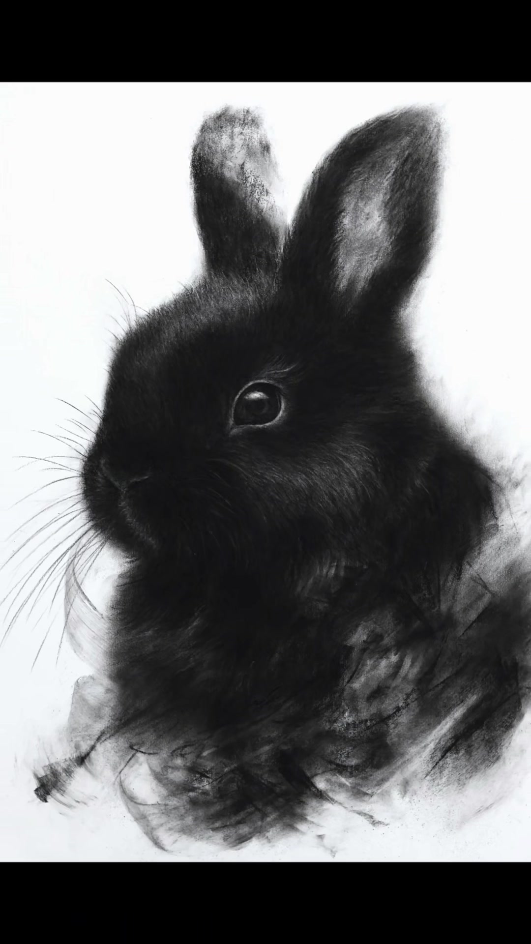 @ryosuke art