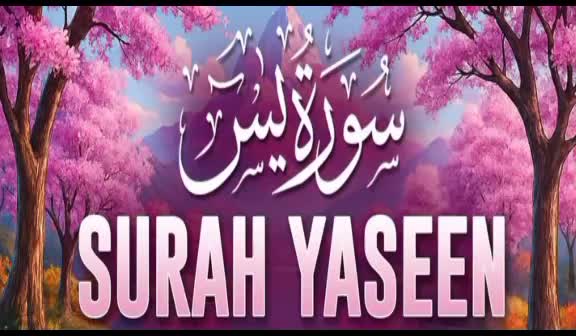 @Muhammad Raees