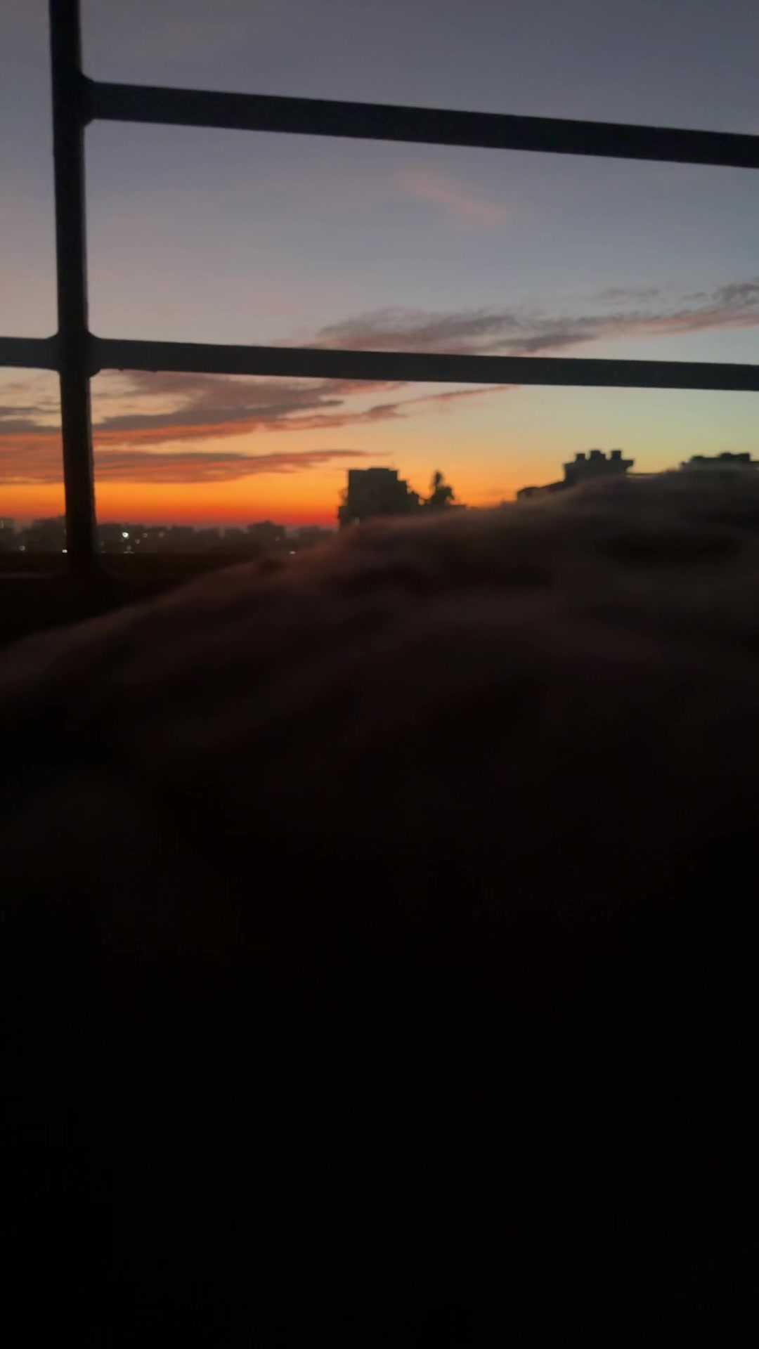@🦋🖤শিশির স্পন্দন🖤🦋