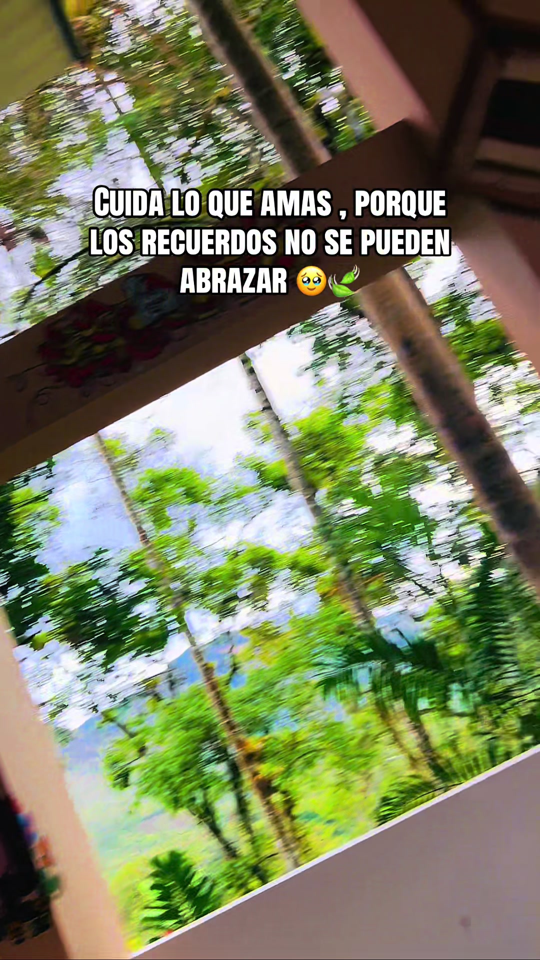 @ChinitaVela💗🐣