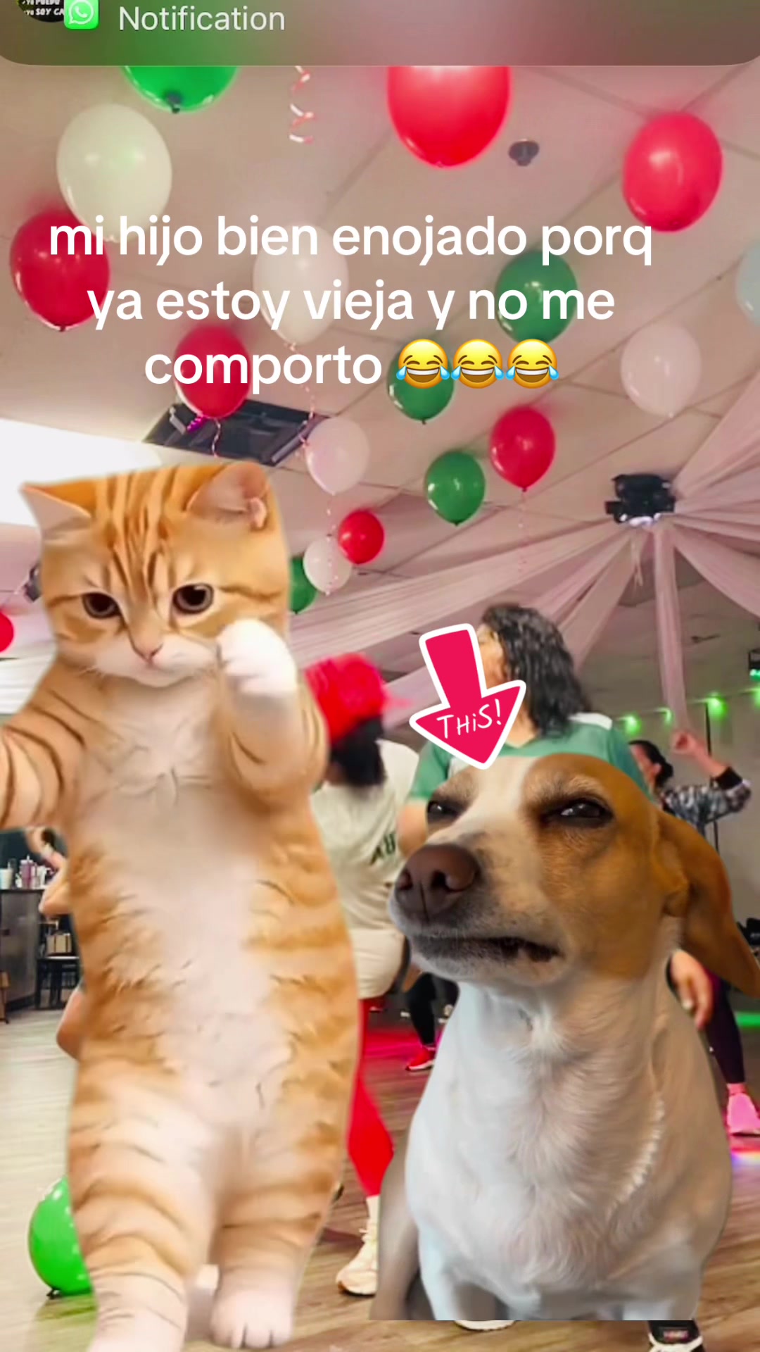 @Zumbadri