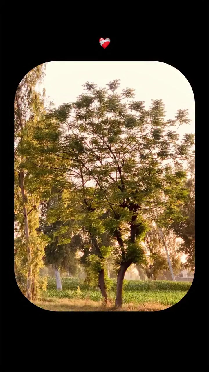 @ਓਹ ਕਹਿੰਦਾ 🌾