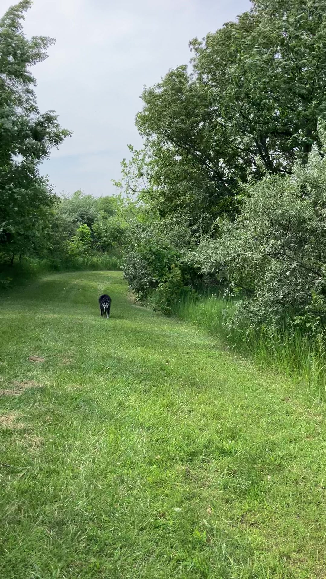 @Hikingwithstanley