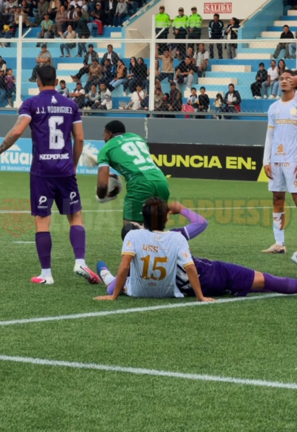 @Liga de F&uacute;tbol Profesional