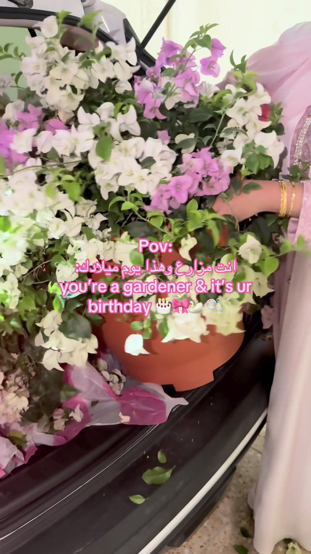 @عالم سرور🌿