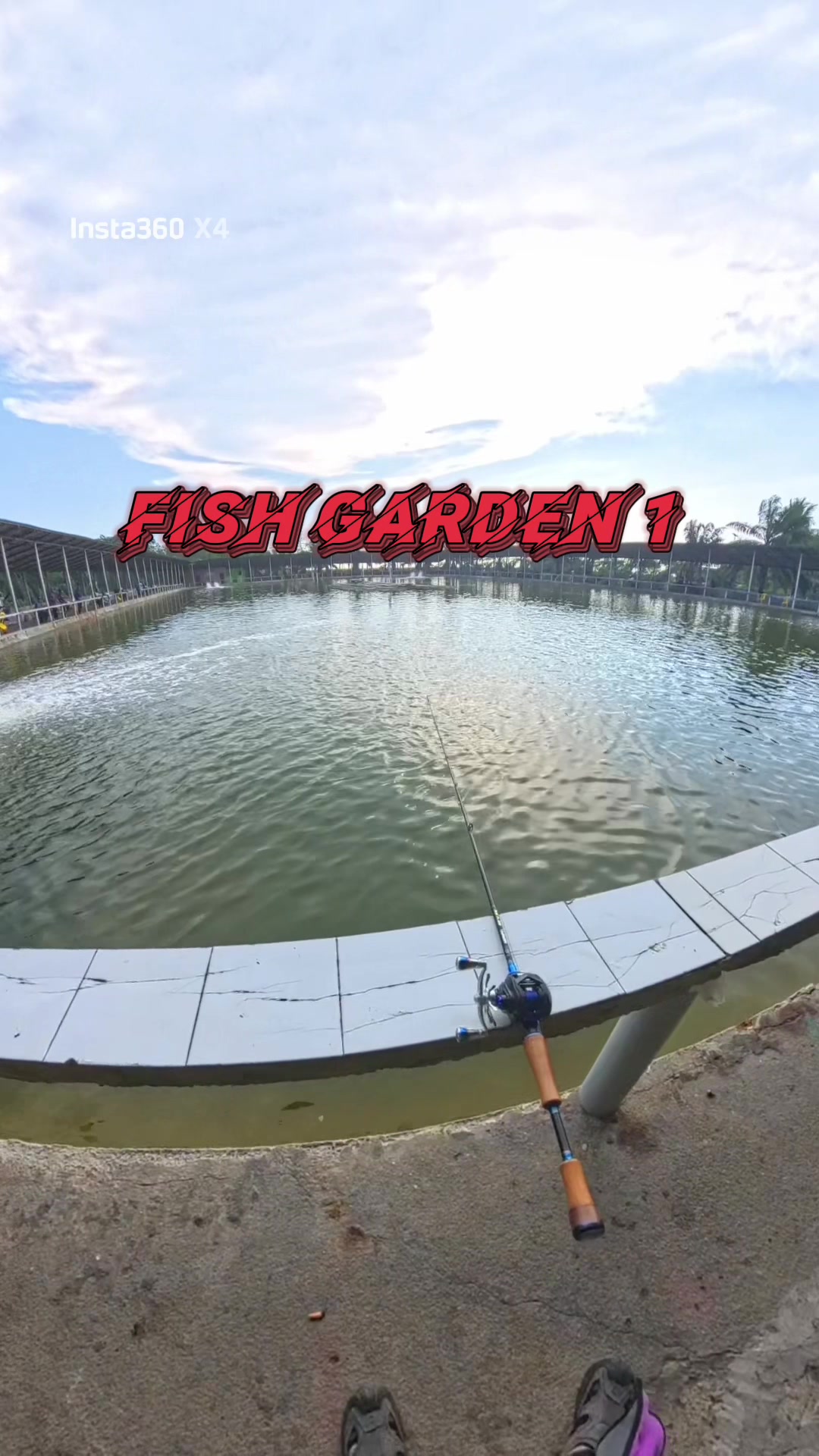 @M Z Reel 🎣