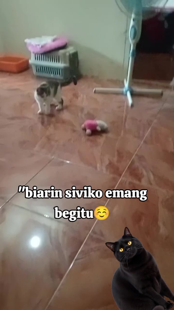 @Rizqi