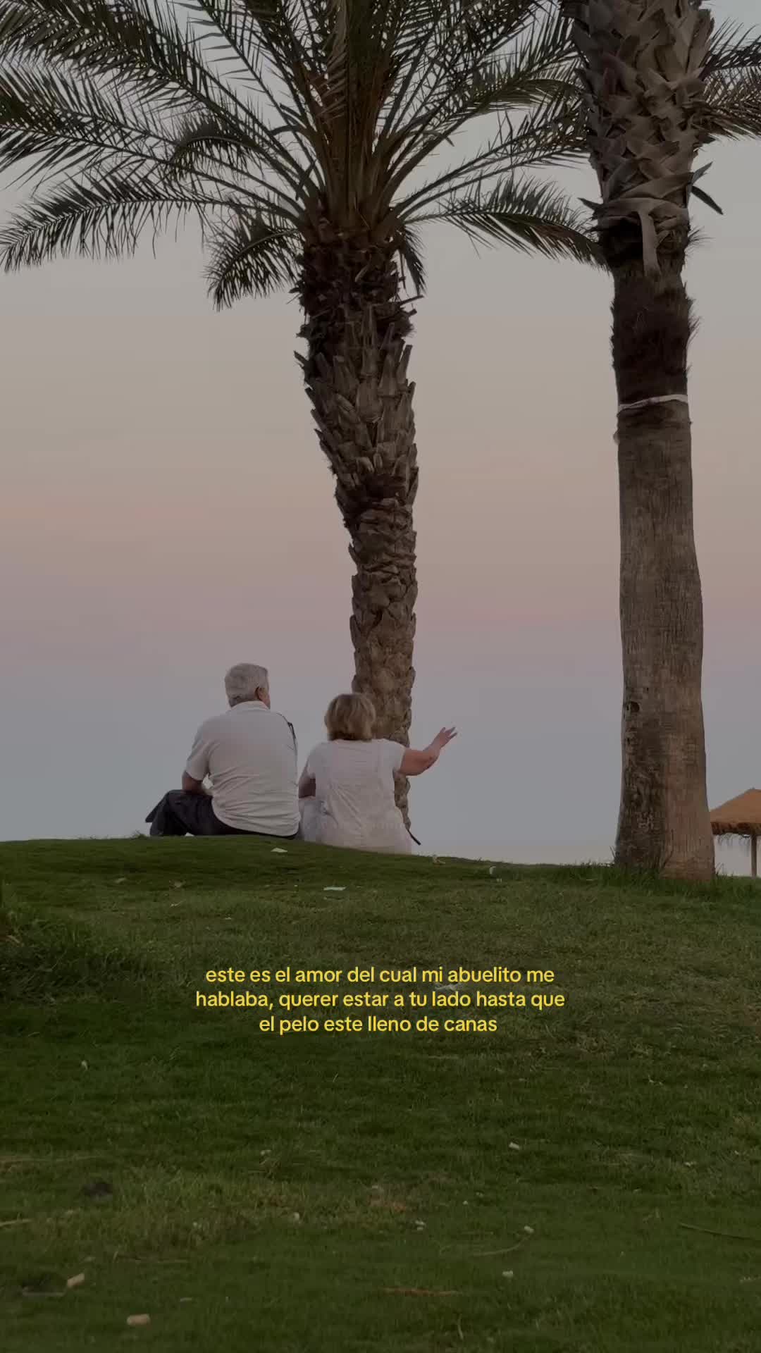 @tt 🧃