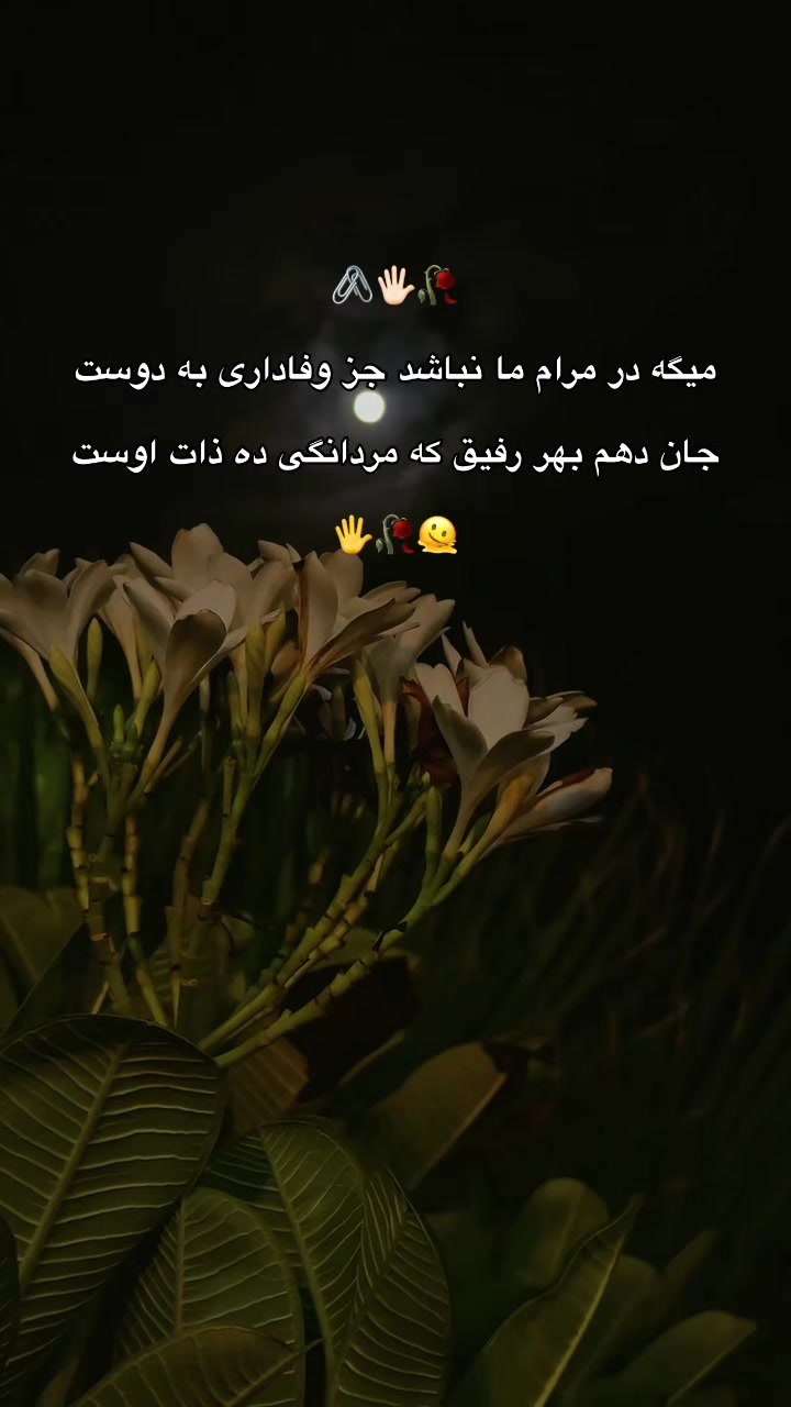 @𓆩•.M4sror07.•𓆪