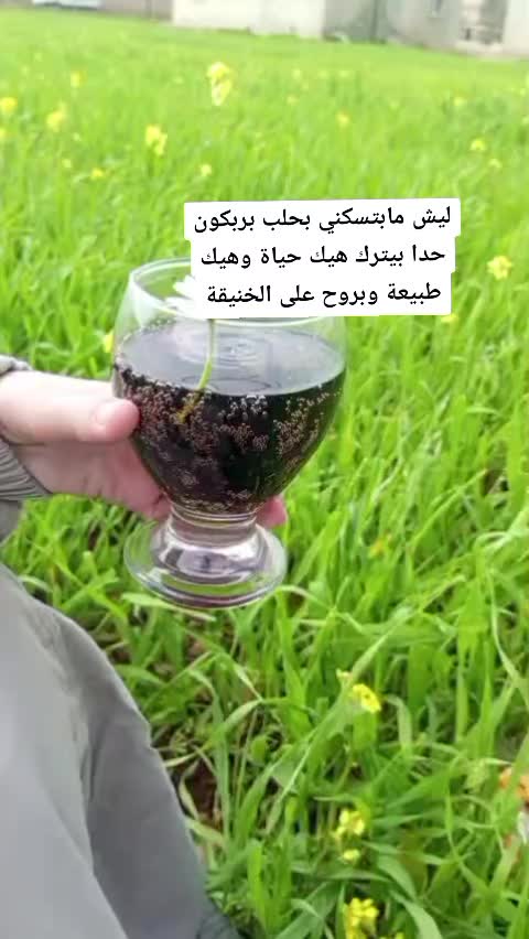 @رهام زينو