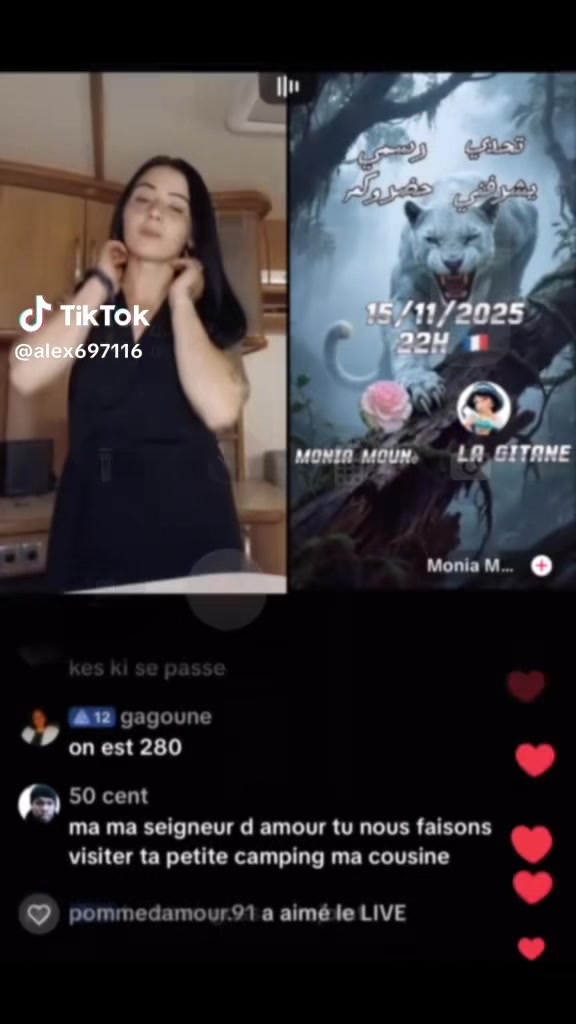 @la gitane de retour manouche🦔